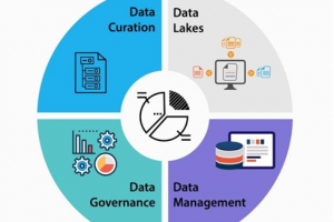 Data Curation