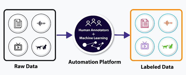 Data Annotation